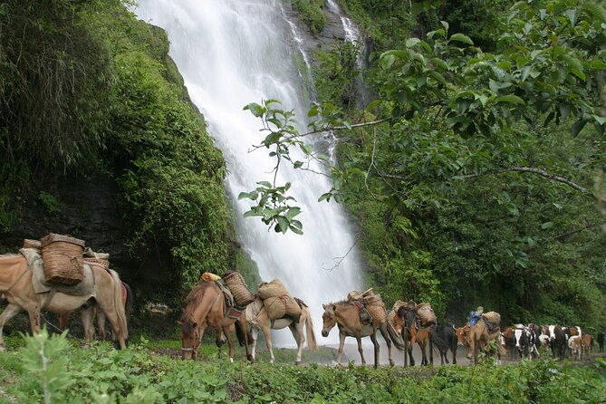 9 Days Druk-path Trek with Cultural sightseeing - Why This Tour Offers Great Value