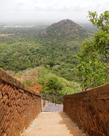9 Days Lifetime Experience in Sri Lanka - The Transport and Logistics  
