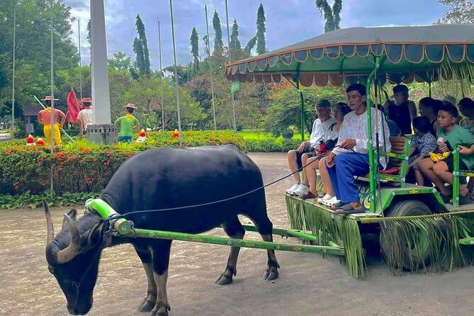 A Day in Paradise at Villa Escudero Coconut Plantation Adventure - The Experience: What to Expect and Tips