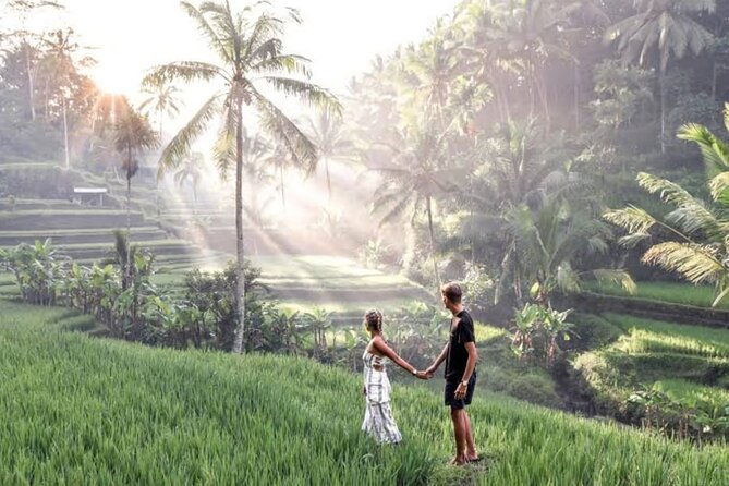 A Day Tour in Ubud - Waterfall, Temples & Swing - The Real Value: Why This Tour Works
