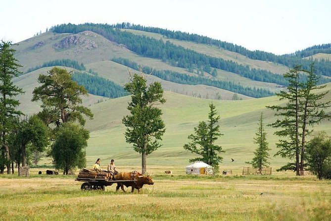A day trip to Terelj National Park and Statue of Chinggis Khan - Frequently Asked Questions