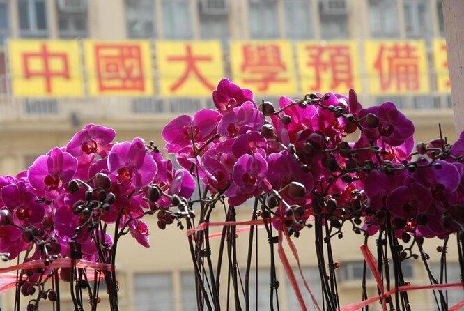 A Taste of Hong Kong: Private Tour With Locals - Who Should Consider This Tour?
