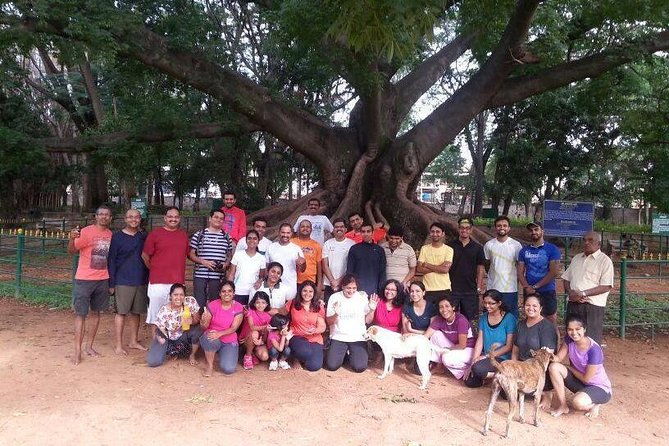 A Trail Through Parks Of Bangalore - Practical Details and What to Expect