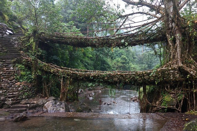 A Walk in the Clouds - Walking Holiday in Khasi Hills, Meghalaya, India - Transportation, Accommodation, and Value