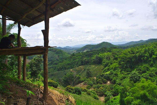 Akha private eco-trekking 2 days 1 night Chiang Rai - Who Should Consider This Tour?