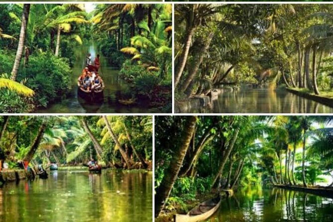 Alasr Lakeview Cruise /Hourly Trips to Backwater of Alleppey - Final Thoughts