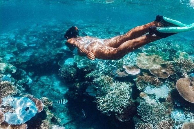 All Inclusive : Bali Blue Lagoon Snorkeling, Lunch, and Transport - Pricing and Value