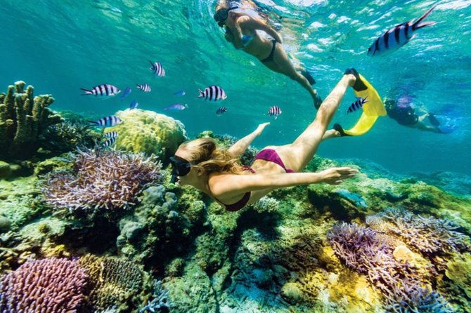All Inclusive Bali Blue Lagoon Snorkeling with Lunch and Transport - What to Expect and Practical Tips