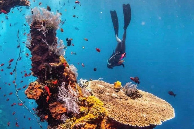 All Inclusive Bali Scuba Diving at Tulamben with Lunch -Transport - Practical Details and Considerations
