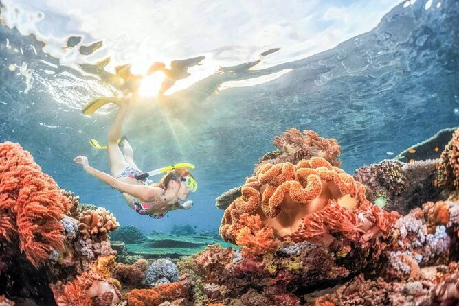 All inclusive: Blue lagoon Snorkeling & the Bats cave temple - Discovering East Bali: An In-Depth Look at the Itinerary