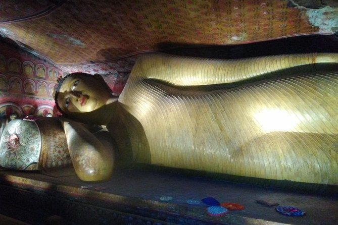 All inclusive Private Day tour Sigiriya, Dambulla & traditional village tour - Transportation and Guides