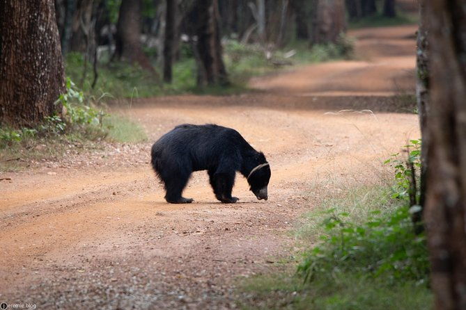 All Inclusive Private day tour to Wipattu National Park From Negombo - What Makes Wipattu Unique