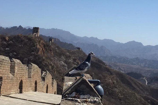 All-Inclusive Private Mutianyu Great Wall Day Tour with Dumpling Lunch - Practical Details and Tips