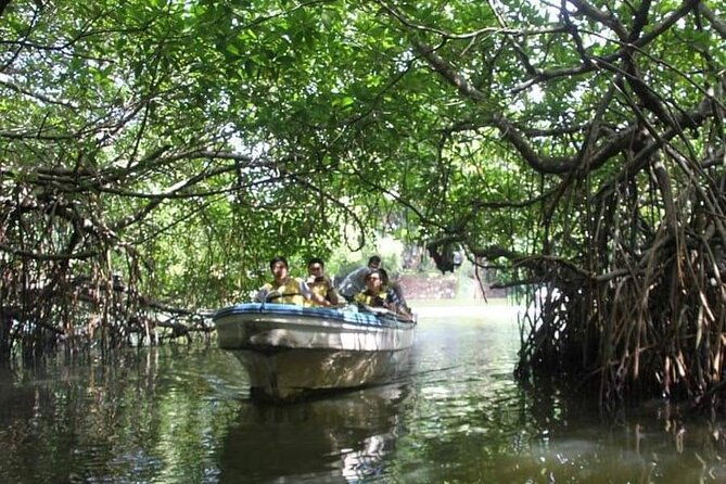 All-Inclusive Private tour in Sri Lankan Island 9 Day HB hotels - Who Is This Tour Best For?