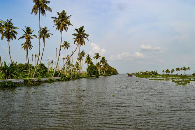 Alleppey Village and Canal Cruise in Houseboat from Kochi. - The Experience on the Water