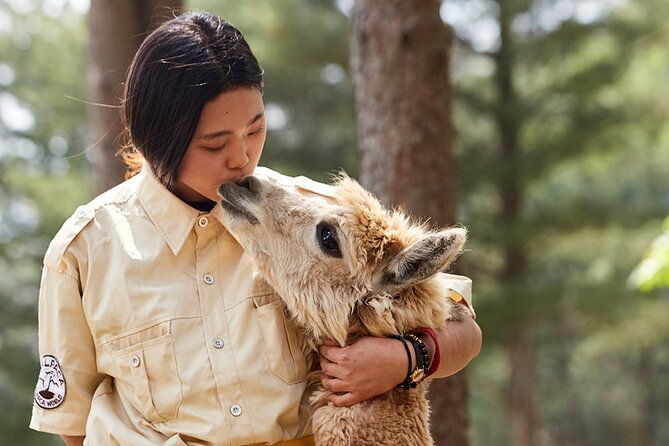 Alpaca World & Nami Island & Garden of Morning Calm One Day Tour - Authentic Insights from Traveler Reviews