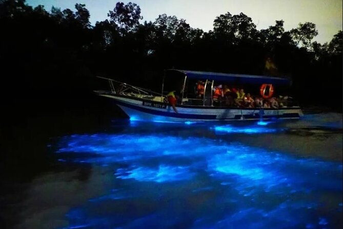 Amazing Fireflies With Blue Tears Watching & Kuala Selangor Tour - Final Thoughts on Value and Experience