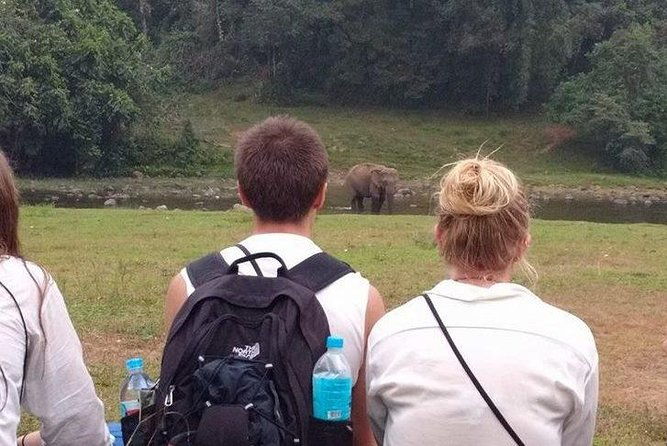 Anakulam Wild Elephant Village life tour ( By Munnar Info) - The Full Breakdown of the Itinerary