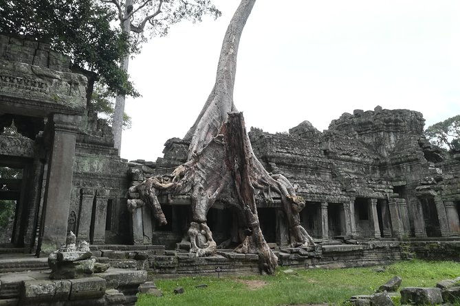Angkor Grand Circuit Temples Tour - Ta Som