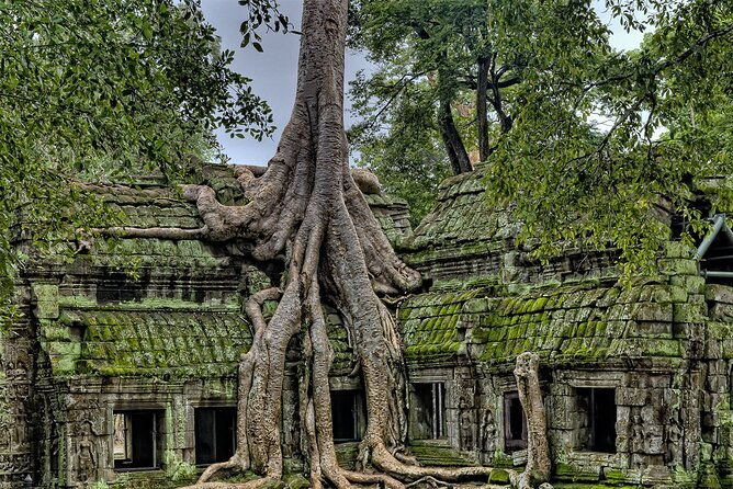 Angkor Wat, Angkor Thom & Elephant Terrace Half-Day Tours - Introduction: Why This Tour Might Be Your Perfect Angkor Introduction