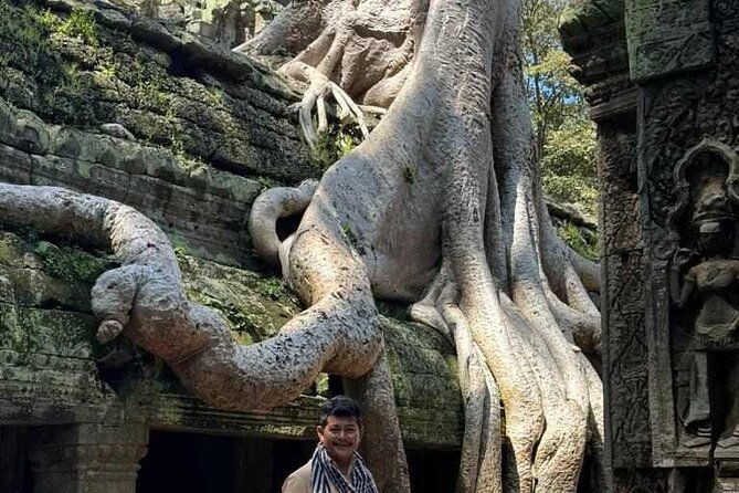 Angkor Wat Sunrise Tours to Bayon and Ta Prohm Temple - Transportation and Comfort
