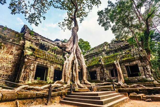 Angkor Wat, Ta Promh, Banteay Srei, Bayon temples Private Tour - The Practical Side: What You Get and What You Need to Know