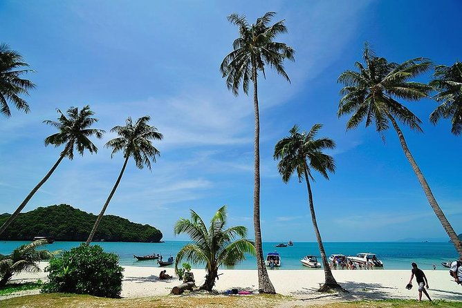 Angthong National Marine Park by Speed Boat with Snorkeling & Kayaking - Analyzing Value and Cost