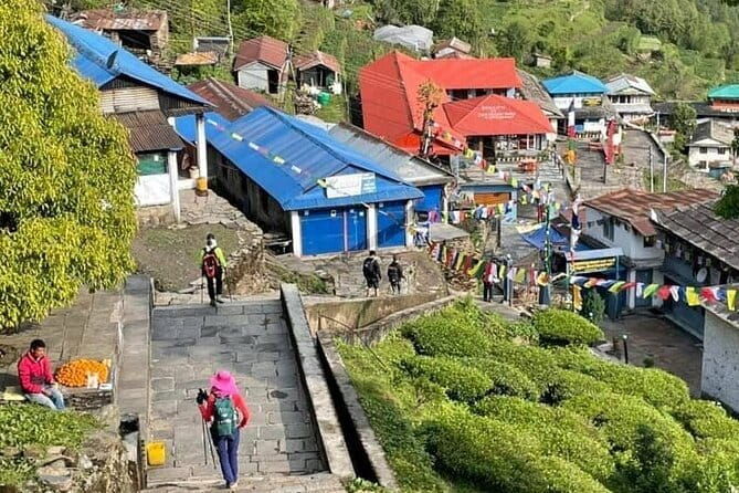 Annapurna Base Camp Trek 5 Days from Pokhara - Authentic Experiences and Hidden Gems