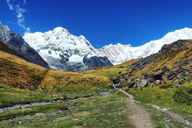 Annapurna Base Camp Trek and Chitwan Excursion - Transport, Accommodation, and Overall Value