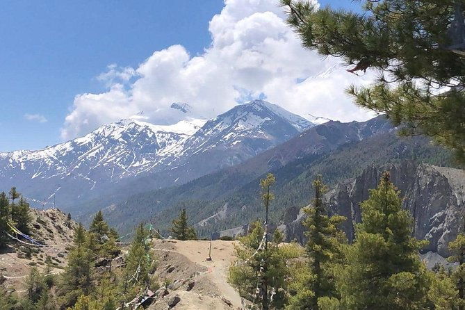 Annapurna Base Camp Trekking - Authentic Experiences and Hidden Gems