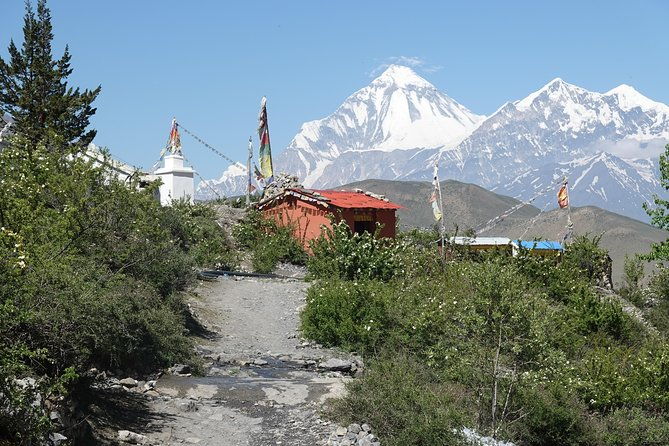 Annapurna circuit Trek - What You’re Included In and Why It Matters