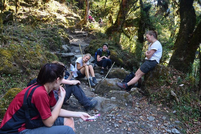 Annapurna Poonhill Trek - The Itinerary Breakdown: Day-by-Day Insights