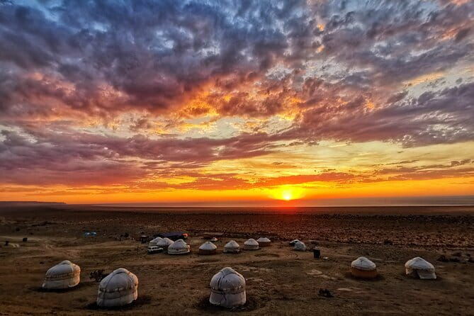 Aral Sea Adventures (2 day) - Practical Details and What to Expect
