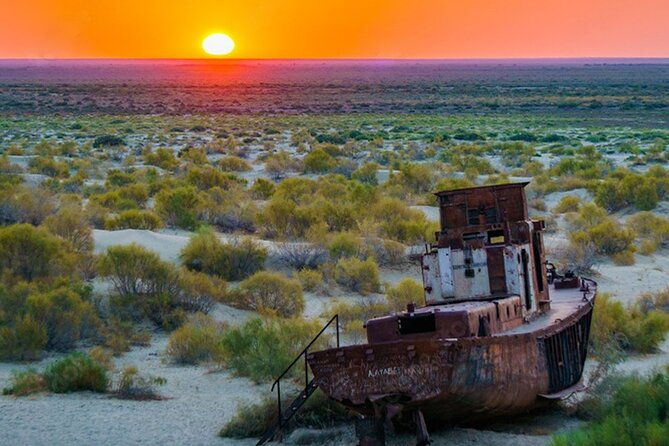 Aral Sea One Day Tour from Tashkent - The Itinerary in Depth