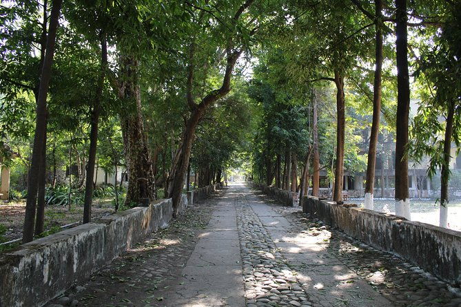 Ashram Tour By Walk in Rishikesh (Private Tour) - Why This Tour Offers Great Value