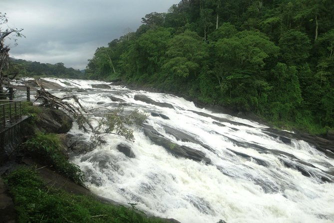 Athirappally & Vazhachal Waterfall Tour with Lunch - Transport & Practical Details