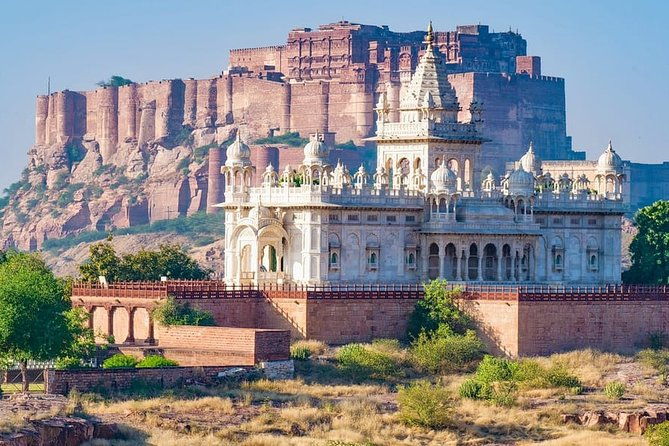 Authentic Jodhpur Day Tour - What We Love and Consider