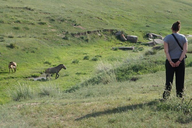 Authentic Mongolian two days tours in Terelj & Khustai National P - What’s Included and What’s Not