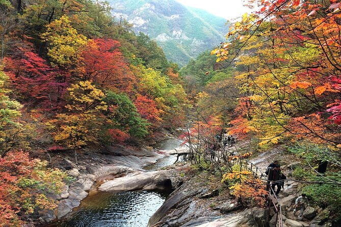 Autumn Foliage-Mt. Seorak, Sokcho Beach, Market, Observatory - Transportation and Group Dynamics