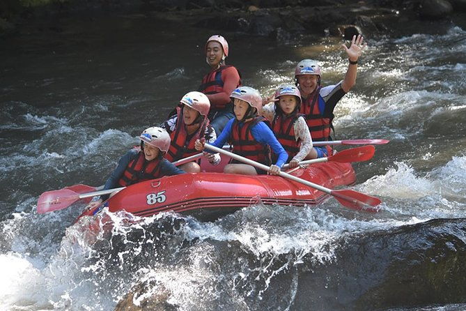 Ayung Rafting Ubud (Include Lunch & Return Transportation) - Who Is This Tour Best For?