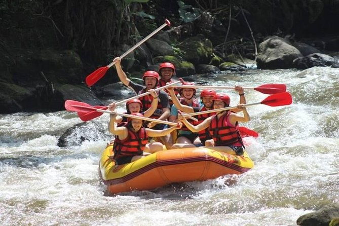 Ayung River Half-Day White Water Rafting Bali in Ubud - An In-Depth Look at the Ayung River Rafting Experience