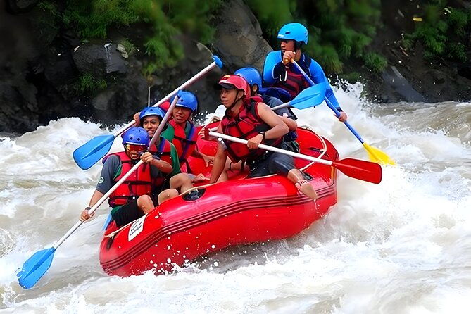 Ayung River Rafting and Ulun Danu Temple - Tanah Lot Temple Tour - Who Should Consider This Tour