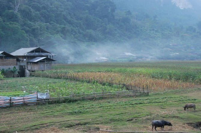 Ba Be lake 2 days 1 night including kayaking - Who Is This Tour Best For?