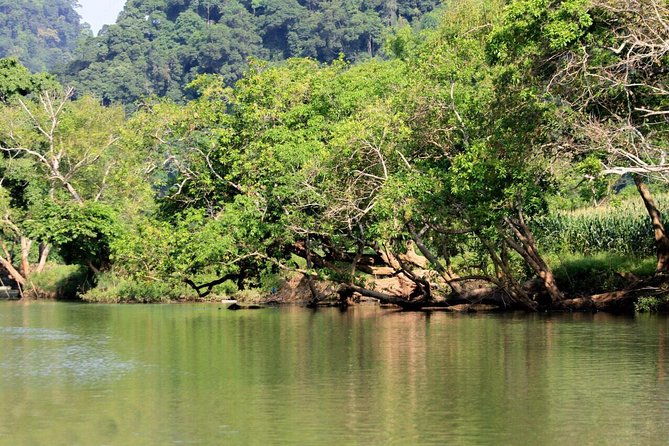 Ba Be Lake & Ban Gioc Waterfall Adventure Tour 3 Days - What Travelers Say