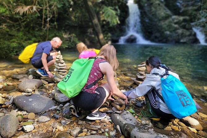 Bach Ma National Park trekking daily tour from Da Nang, Hoi An - Why This Tour is Worth It