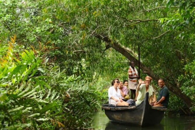 Backwater Tour from Cochin - Practical Aspects of the Tour