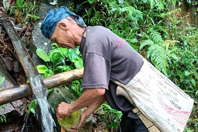 Baduy Tribal Tracker and Village in Private Tour Full Day & Lunch - Why This Tour Is a Great Choice