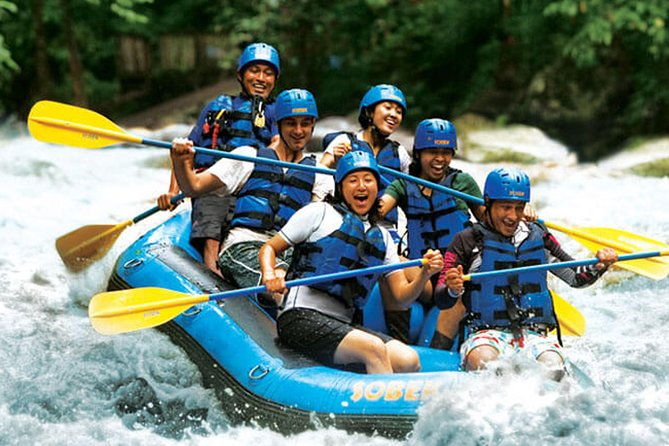 Bali 10 Kilometers Extreme Ayung River Rafting with Lunch - What Makes This Tour Stand Out?