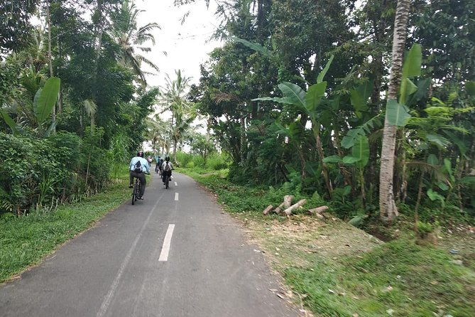 Bali Amazing Cycling Tour - Authentic Experiences and Guide Insights
