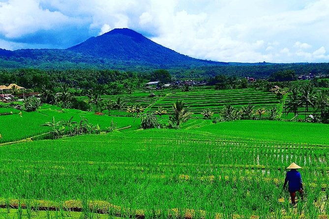 Bali Ancient Temples Tour - What Makes This Tour Stand Out?